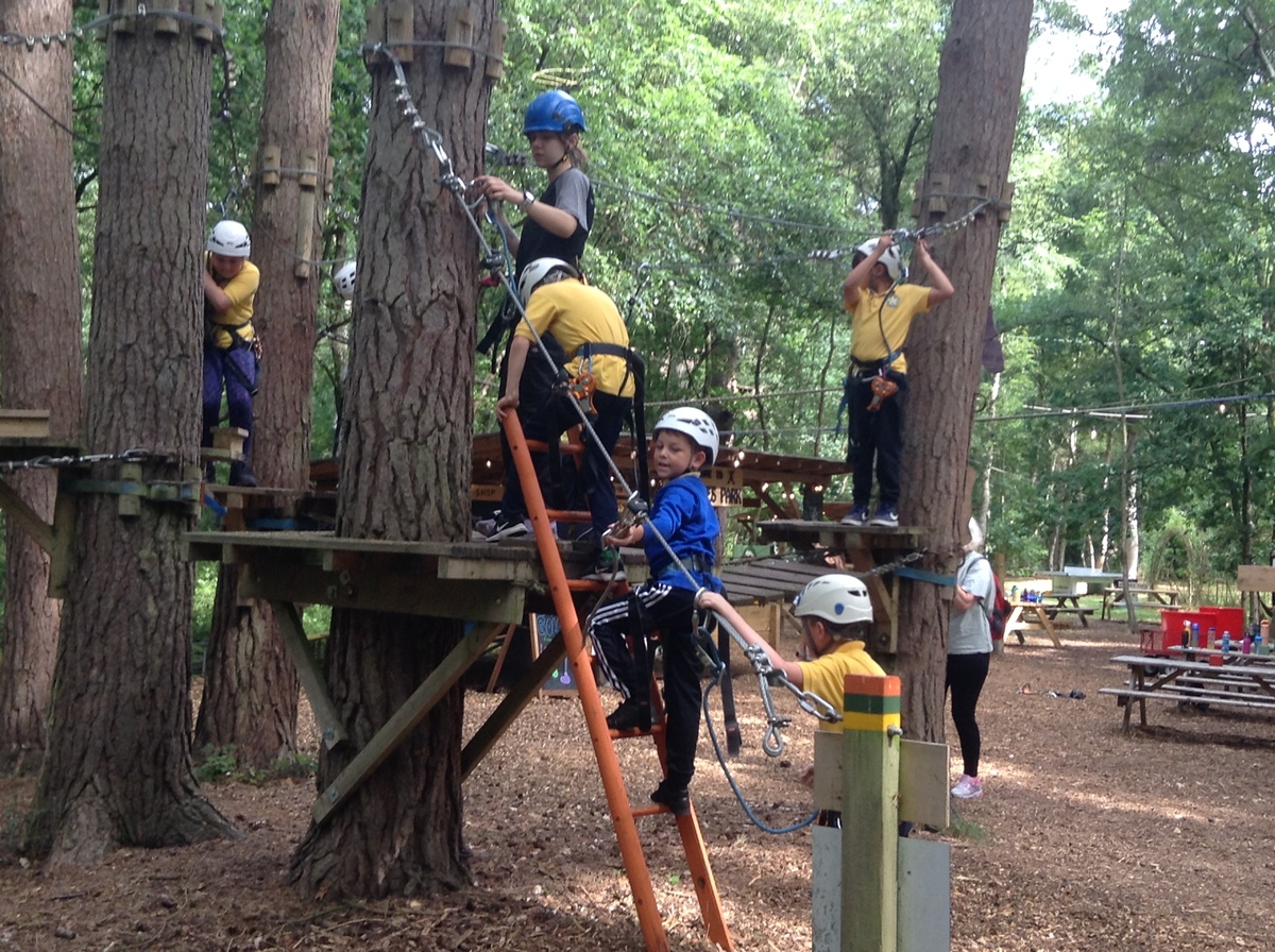 Wild Pines Park